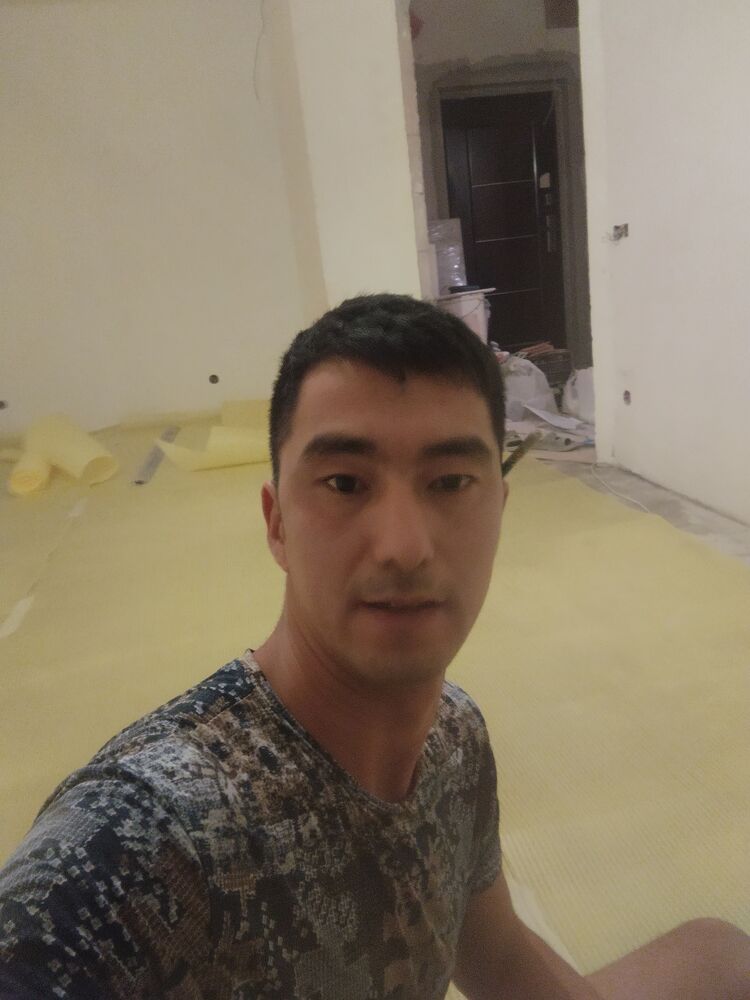  29532561  , 31 ,    