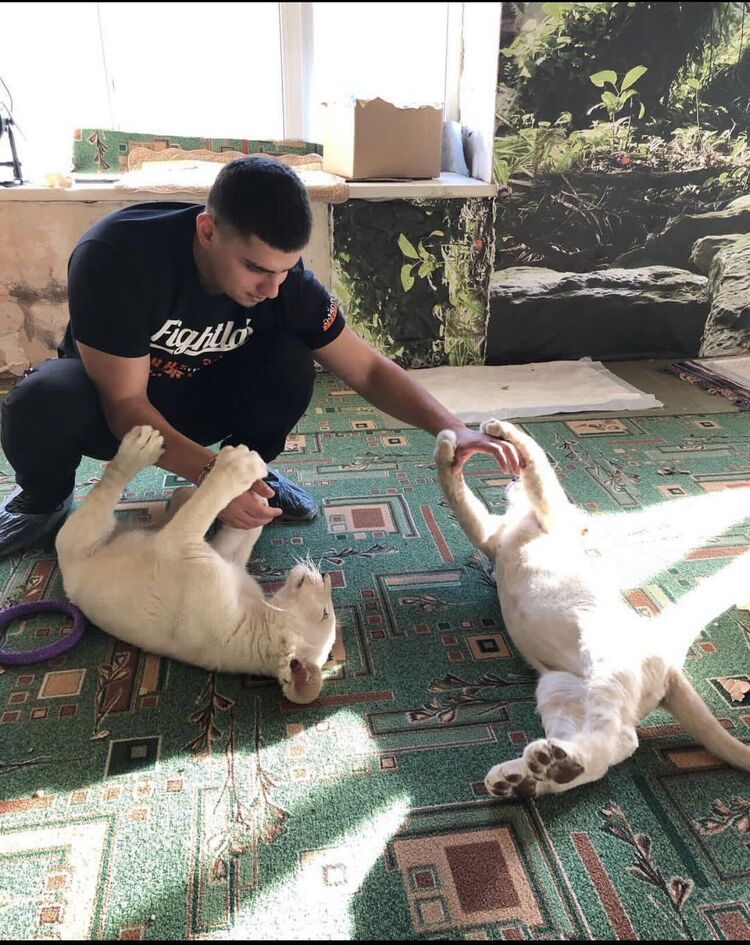 ���������� �����������, ���� ������� �����, 27 ���, ������������ ��� ������, ����� � ���������