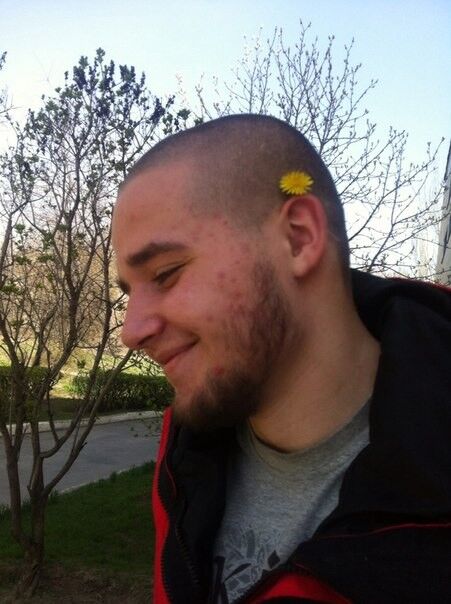 ���� 7336851 ������� ����, 30 ���, ���� ���������� � ���������