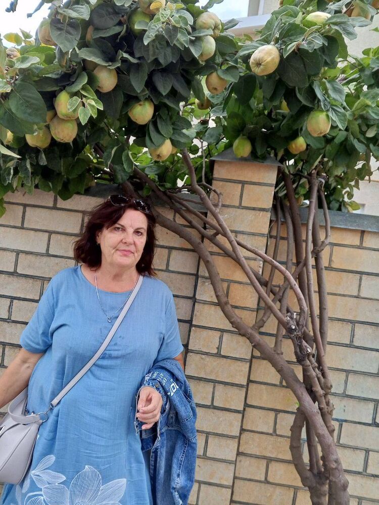 ���� 46062741 ������� �������, 65 ���, ���� ���������� � �����������