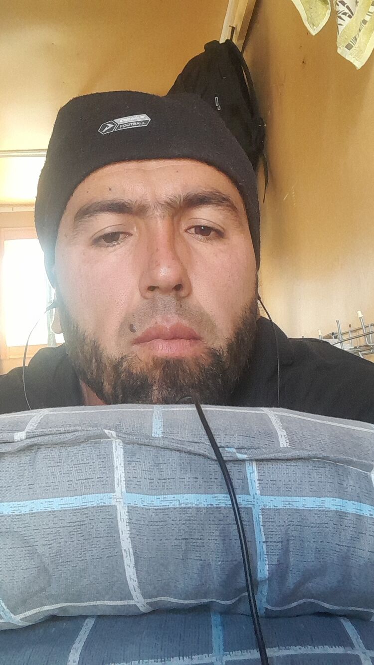  49155201  , 31 ,    
