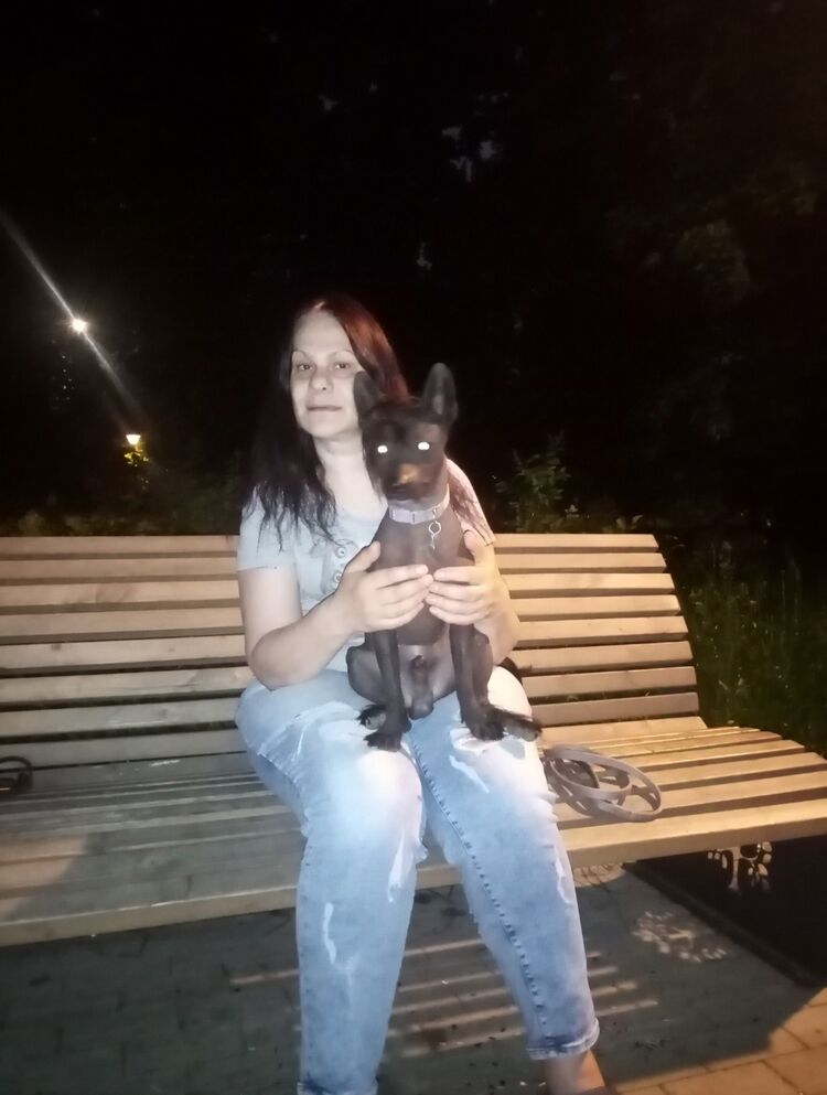  ,   , 61 ,   