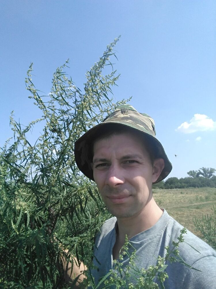  13896721  , 41 ,    