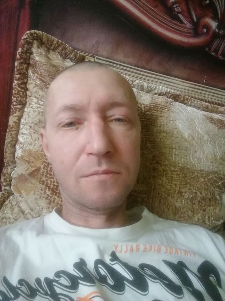  43831831  , 51 ,    