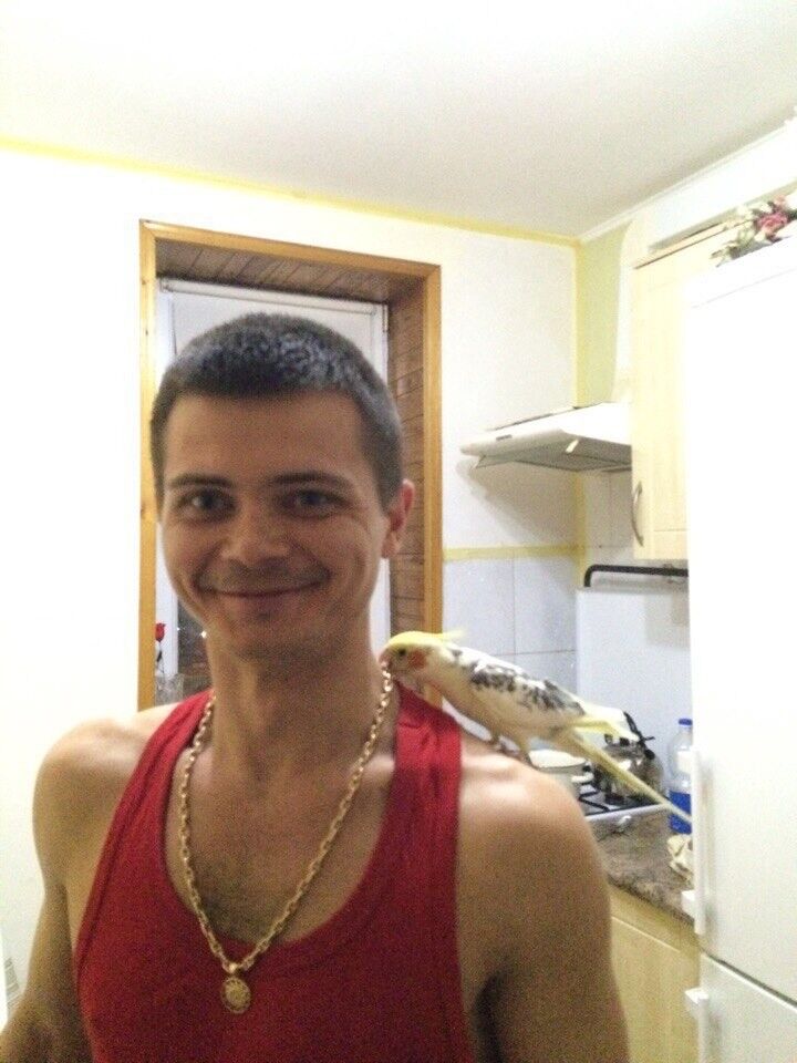  ,   , 41 ,   ,   , c 