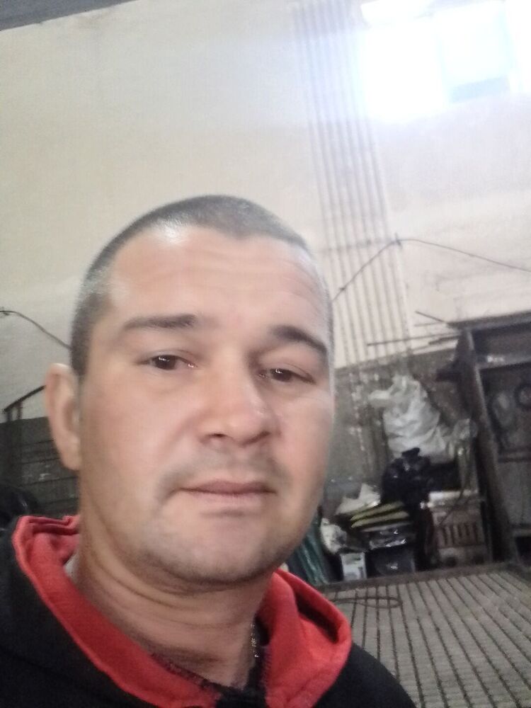  46603281  , 36 ,    