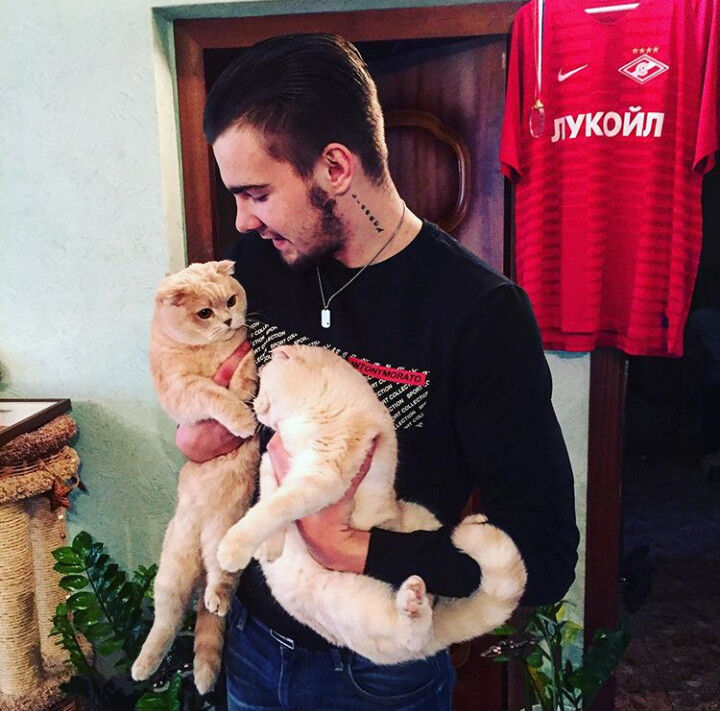 ���������� ������, ���� ������� �������, 28 ���, ������������ ��� ������, ����� � ���������, c�������� ���������