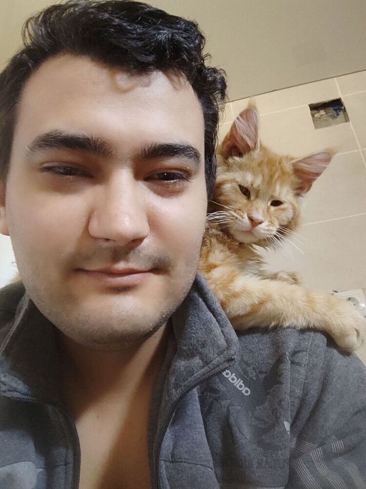 ���� 55074591 ������� Aseni, 30 ���, ���� ���������� � �������������