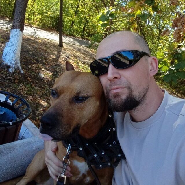 ���� 56238181 ������� ������, 39 ���, ���� ���������� � ��������