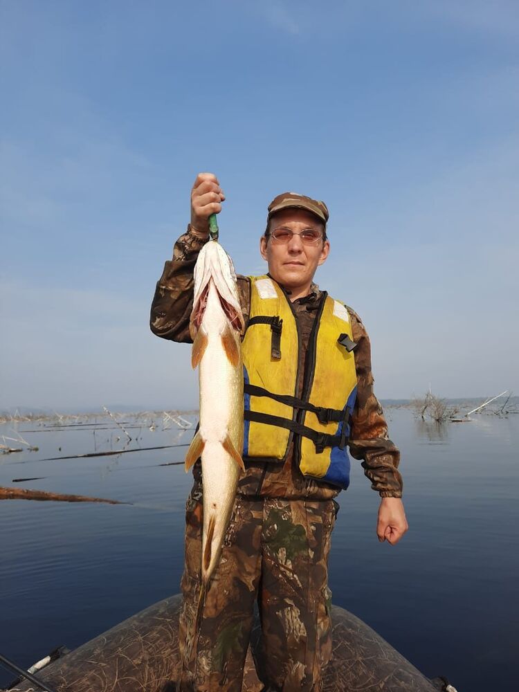  53436551  Andrei, 41 ,    -