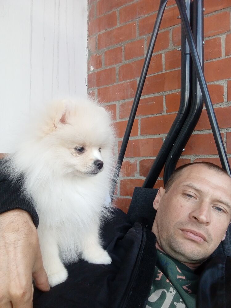 ���� 54377551 ������� ��������, 38 ���, ���� ���������� � ������