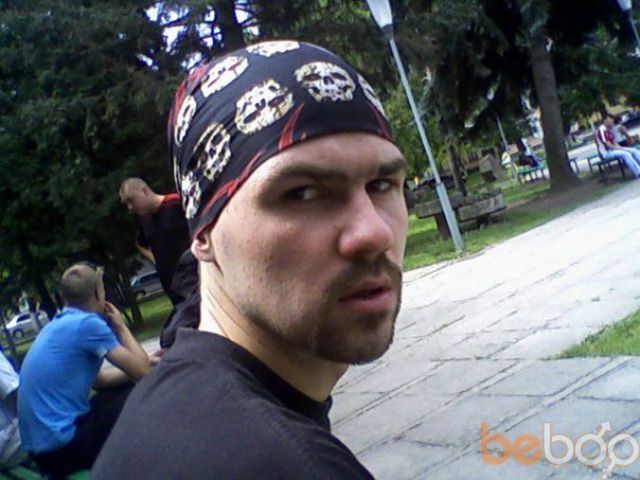 ���� 327941 ������� Toyvo, 39 ���, ���� ���������� � �����