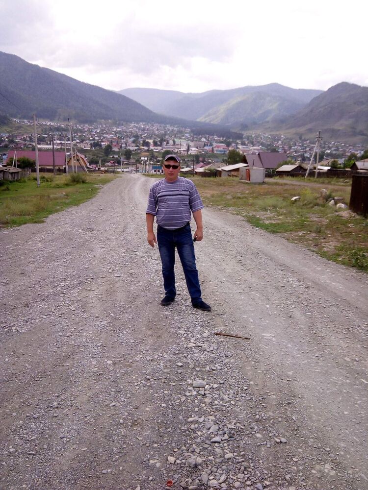  33783511  , 43 ,    