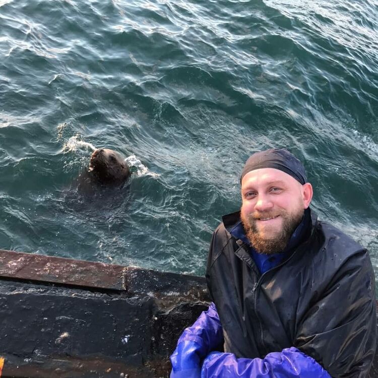 ���������� ����������, ���� ������� �����, 44 ����, ������������ ��� c�������� ���������