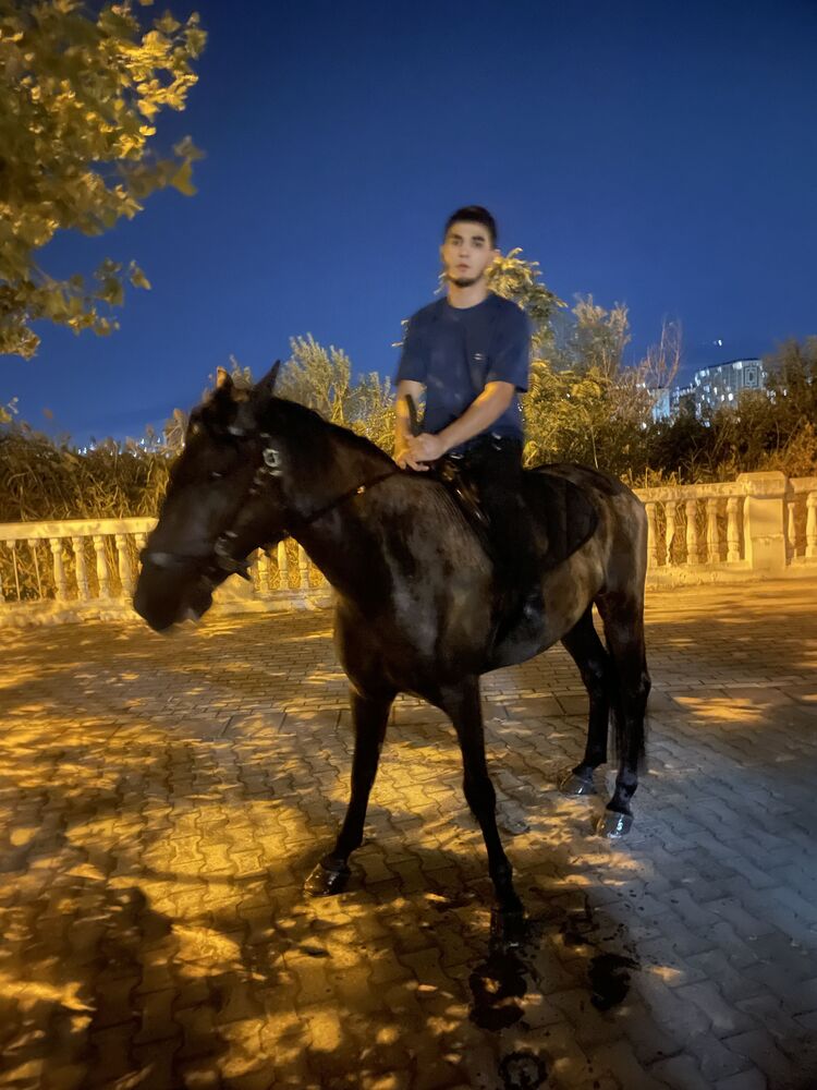 ���� 56212921 ����� Ddwd, 20 ���, ���� ���������� � ���������