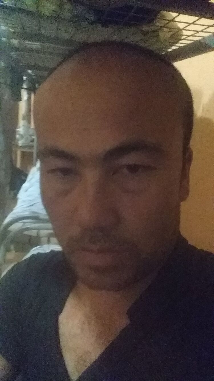 ���� 29677591 ������� �������, 32 ����, ���� ���������� � ������