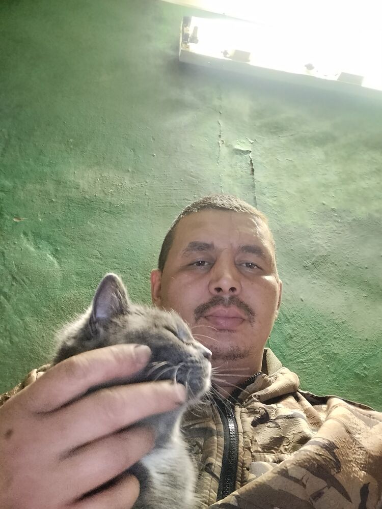  31567301  , 39 ,    