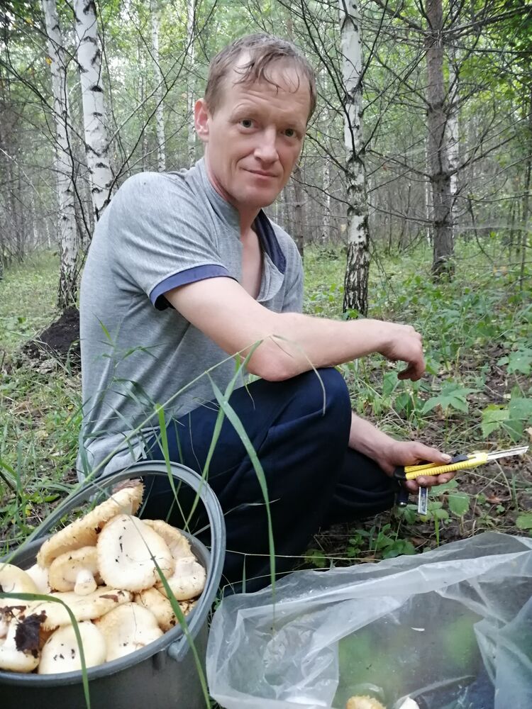 ���������� �����-���������, ���� ������� ��������, 44 ����, ������������ ��� c�������� ���������