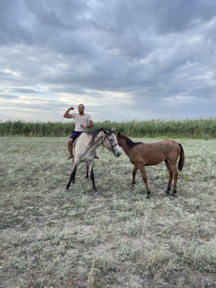 ���������� �������, ���� ������� �������, 30 ���, ������������ ��� ������, ����� � ���������