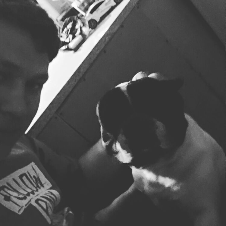 ���� 33611921 ������� �������, 27 ���, ���� ���������� � ������