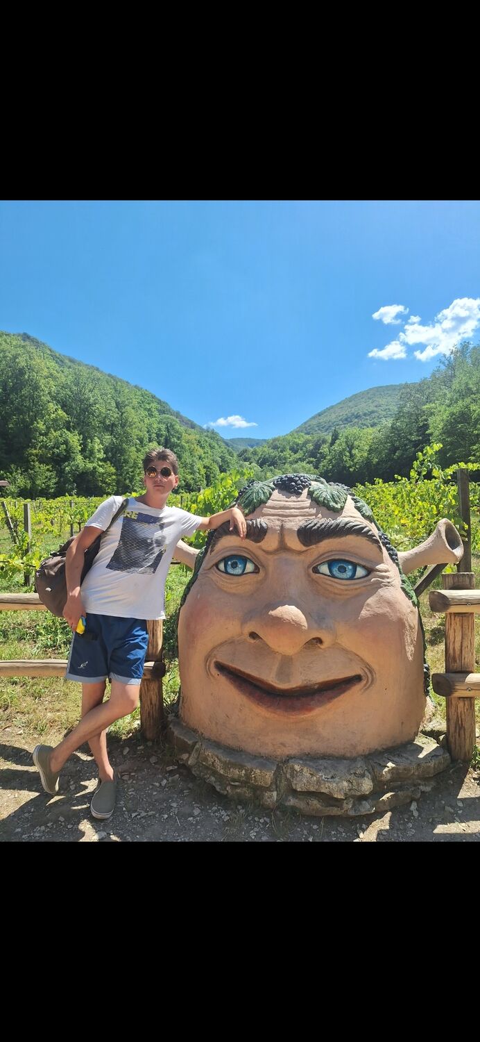 ���������� ������, ���� ����� ���������, 24 ����, ������������ ��� ������, ����� � ���������, c�������� ���������