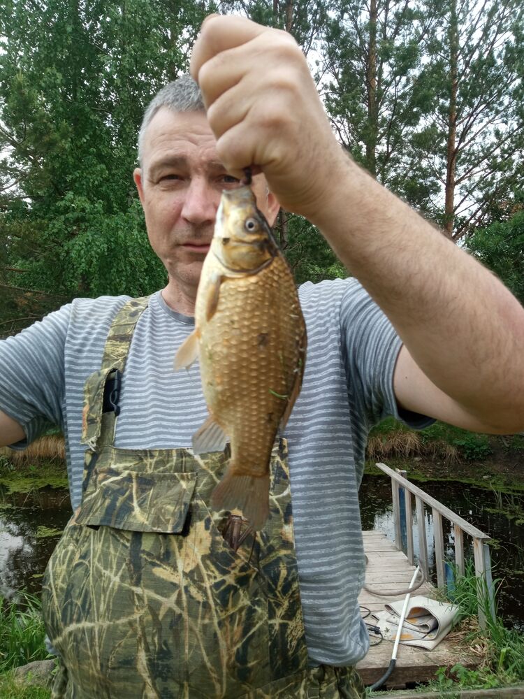 ���� 55910871 ������� �����, 50 ���, ���� ���������� � ���������