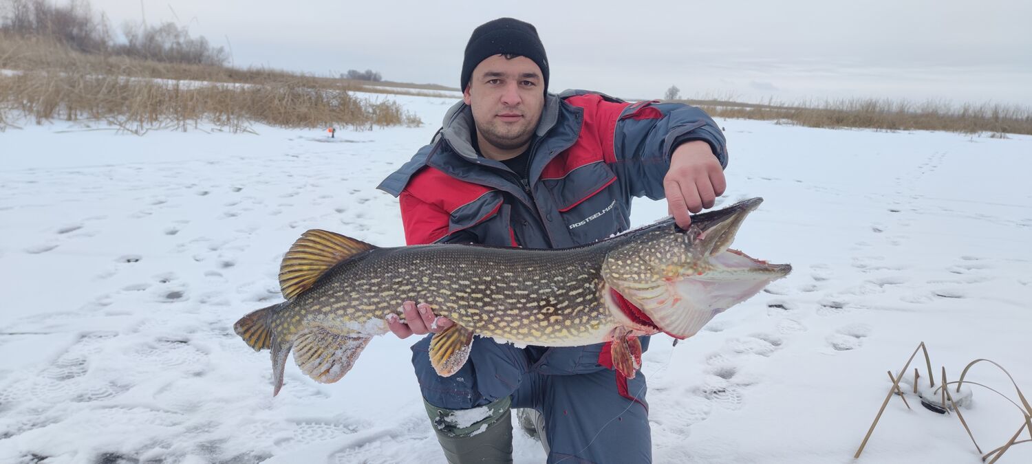  33898441  Lexys, 33 ,    