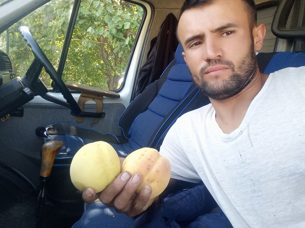 ���� 23097521 ������� ����, 30 ���, ���� ���������� � �����������