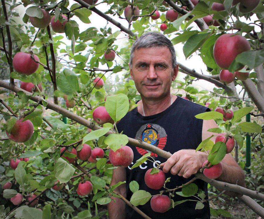 ���� 9316871 ������� ������, 60 ���, ���� ���������� � ������