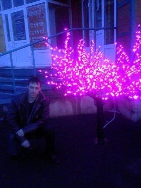 ���� 12571741 ������� ���������, 38 ���, ���� ���������� � �������