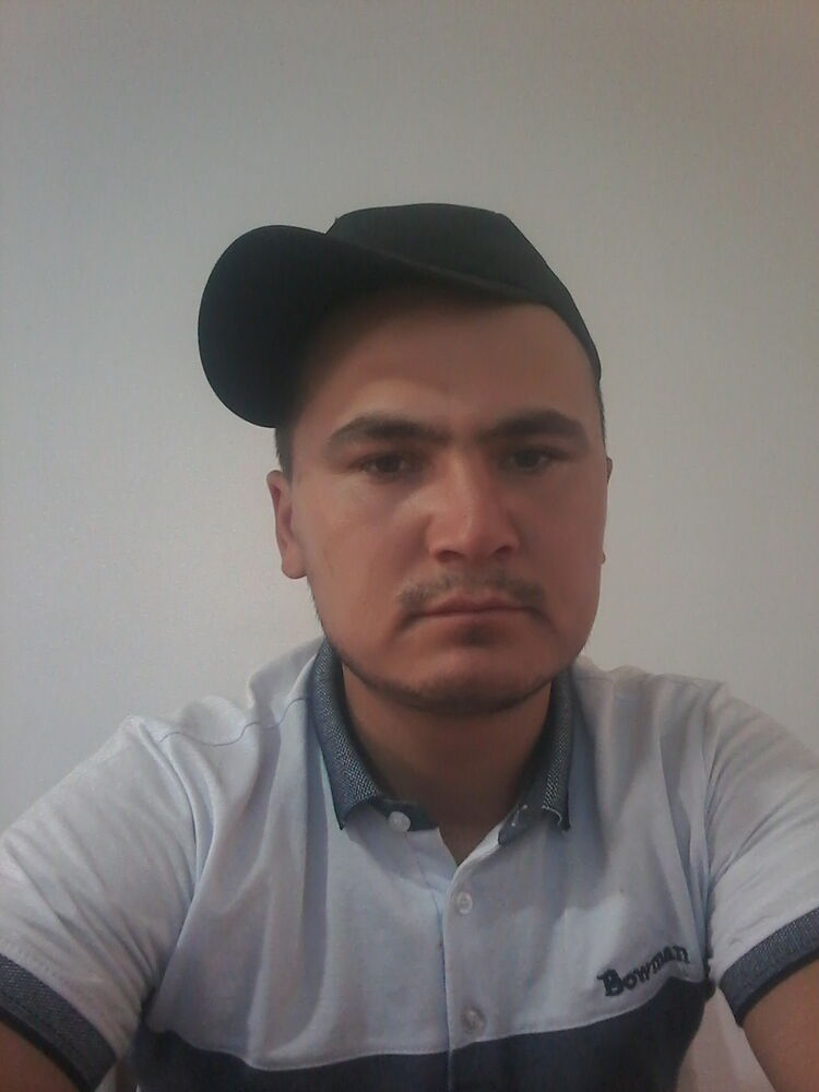  26599921  , 28 ,    
