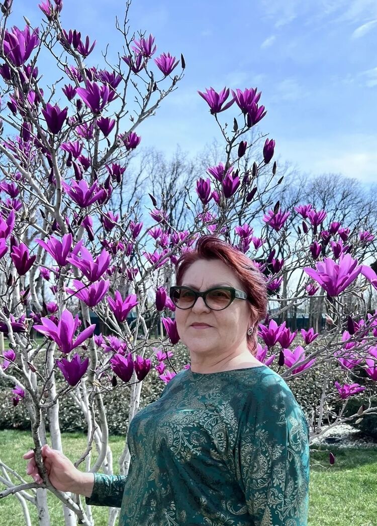 ���� 56230011 ������� ������, 58 ���, ���� ���������� � ����������