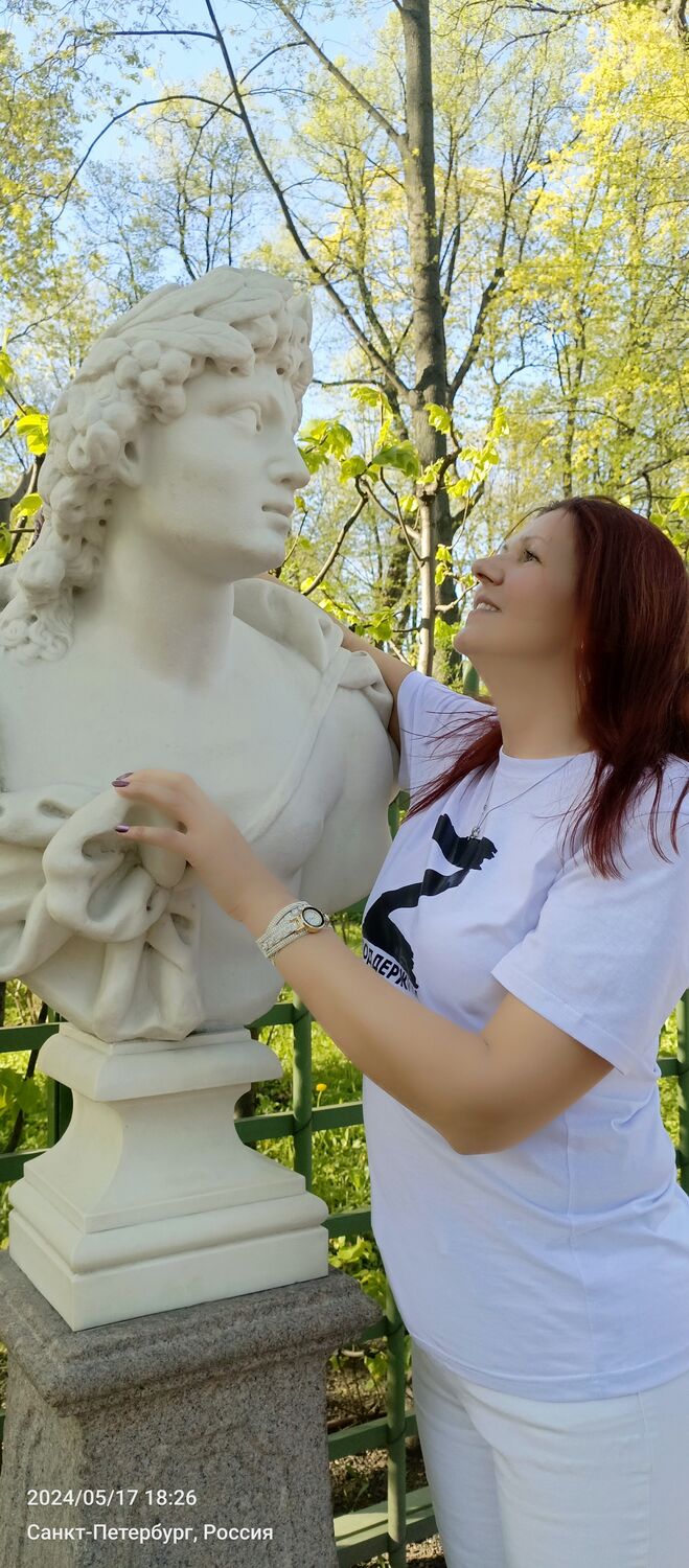  43549231  , 51 ,    -