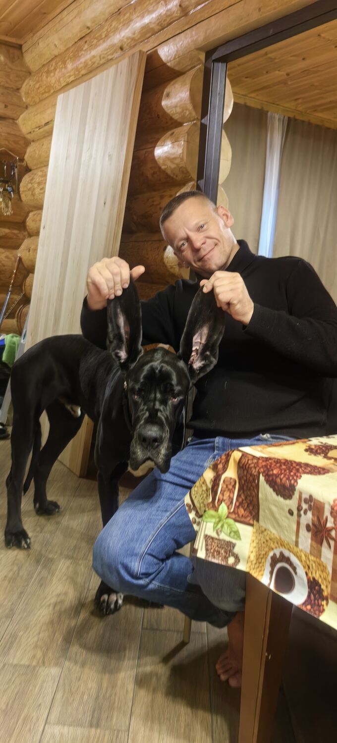 ���������� ������������, ���� ������� ����, 41 ���, ������������ ��� ������, ����� � ���������, c�������� ���������