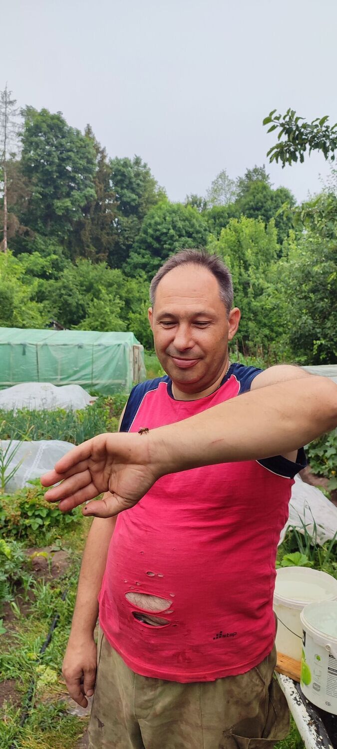 ���������� ������, ���� ������� ����, 48 ���, ������������ ��� ������, ����� � ���������