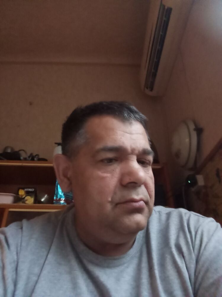  44458211  Veterokveter, 50 ,    
