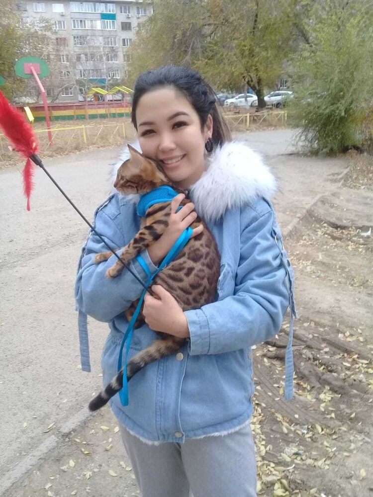  ,   , 26 ,  