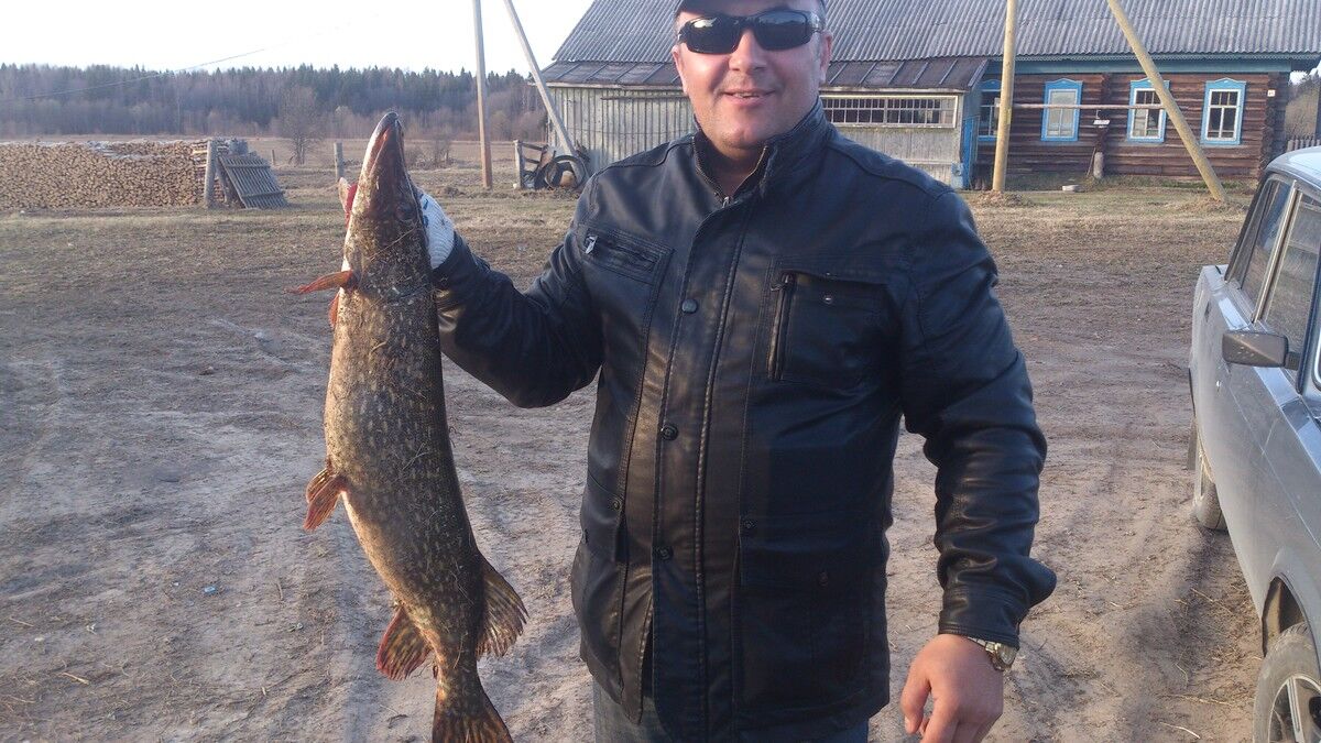 ���������� �����, ���� ������� �����, 53 ����, ������������ ��� ������, ����� � ���������, c�������� ���������