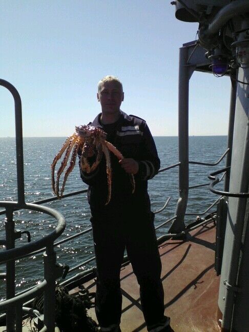 ���������� �����, ���� ������� �����, 36 ���, ������������ ��� ������, ����� � ���������, c�������� ���������