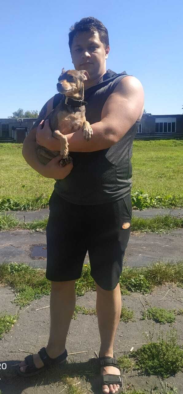 ���� 29279391 ������� ����, 32 ����, ���� ���������� � ������������