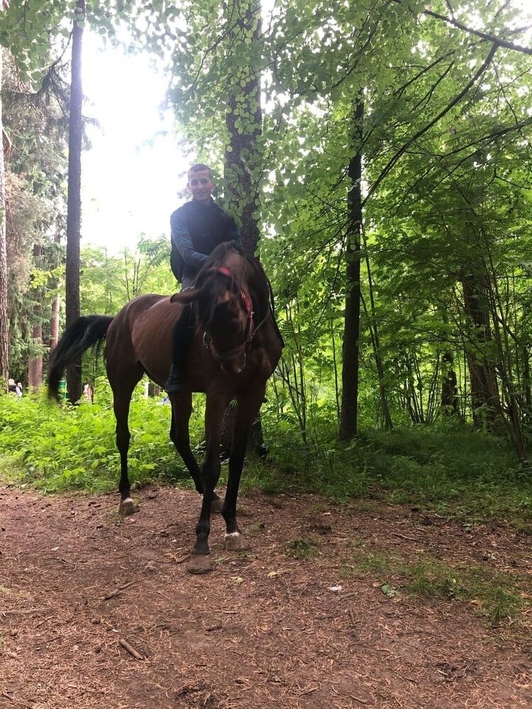 ���������� �����, ���� ������� ����, 34 ����, ������������ ��� ����� � ���������, c�������� ���������