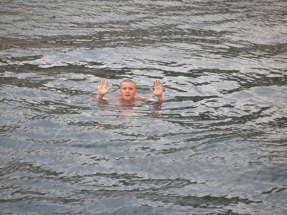 ���� 5414701 ������� Vitek, 46 ���, ���� ���������� � �������