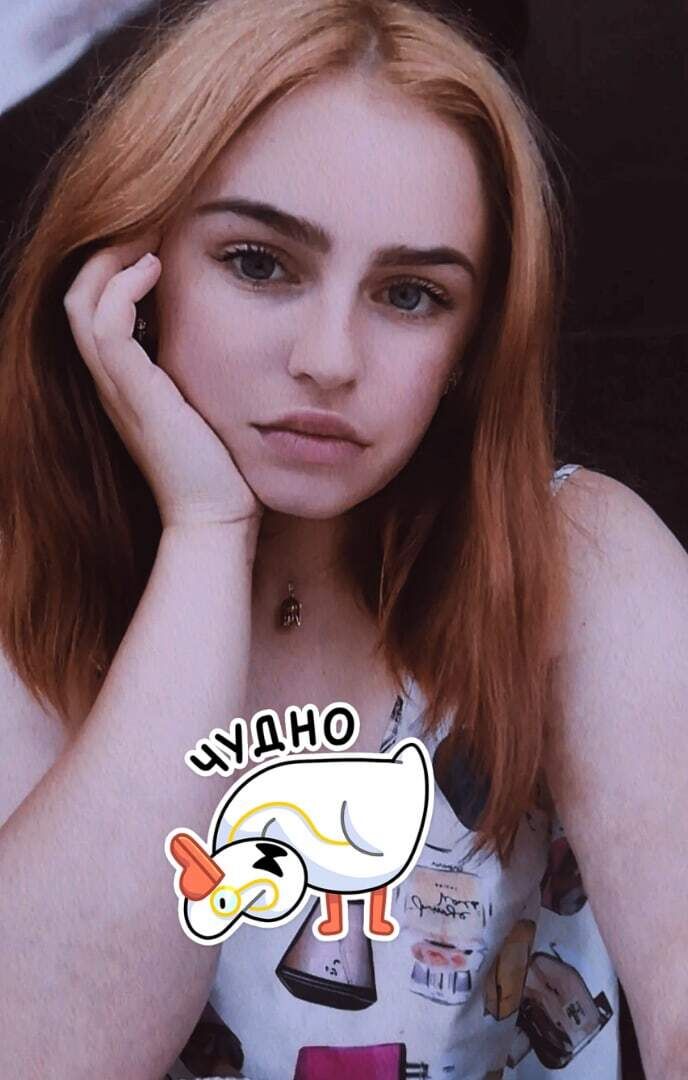  28509081  , 27 ,    