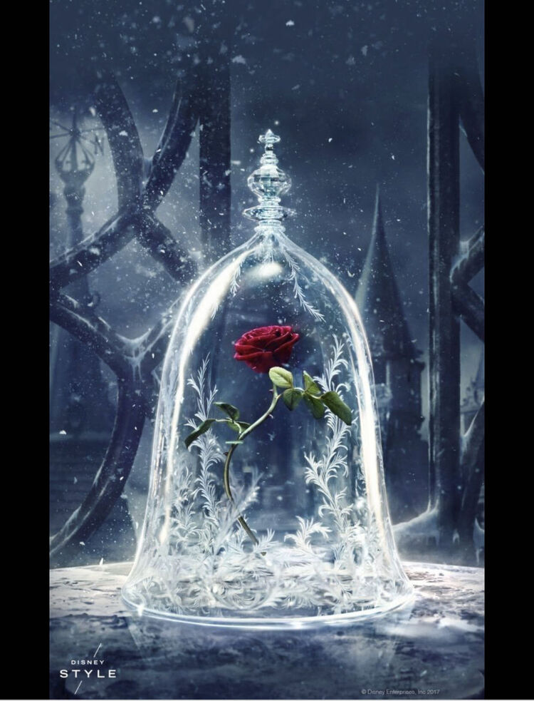 ���������� �������, ���� ������� ���������, 39 ���, ������������ ��� ������, ����� � ���������, c�������� ���������, ���������