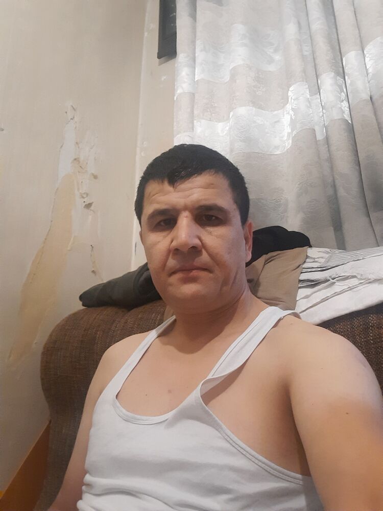  28563711  , 43 ,    -