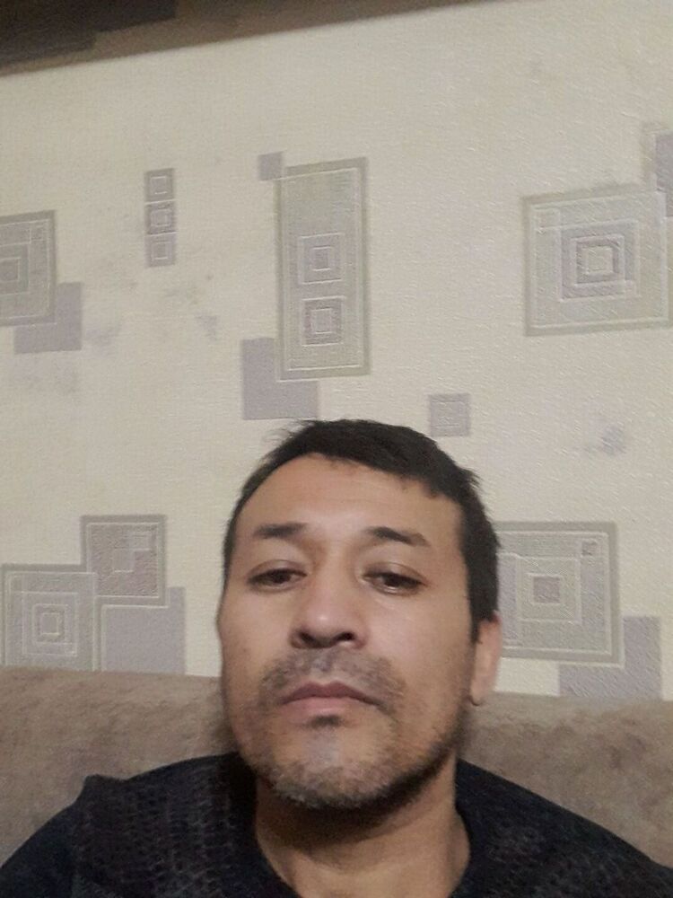  35451631  , 43 ,    