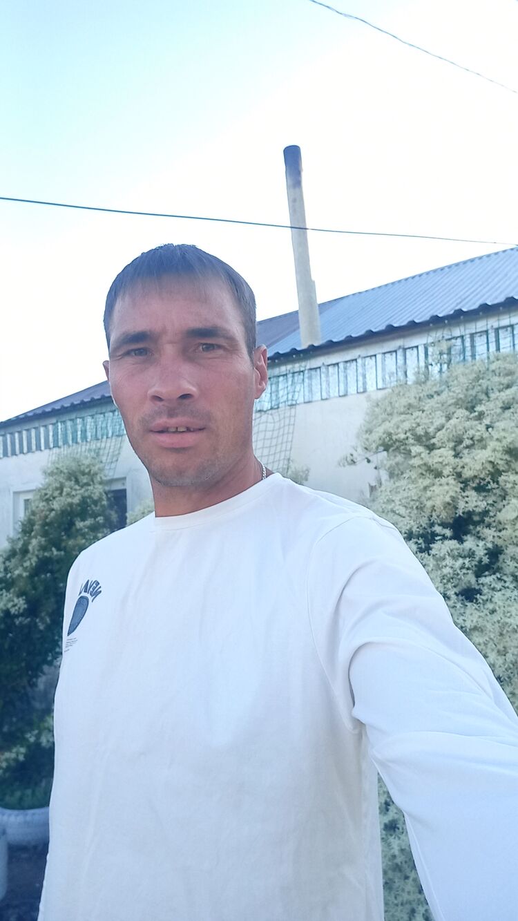  38204001  , 39 ,    