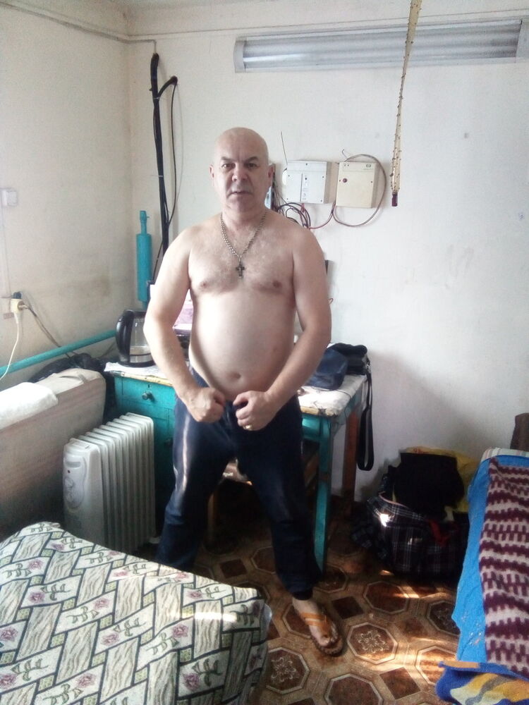  15281831  , 49 ,    