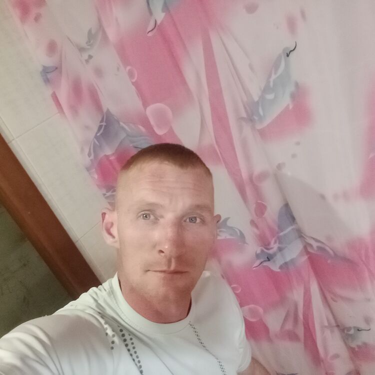  48276121  , 36 ,    