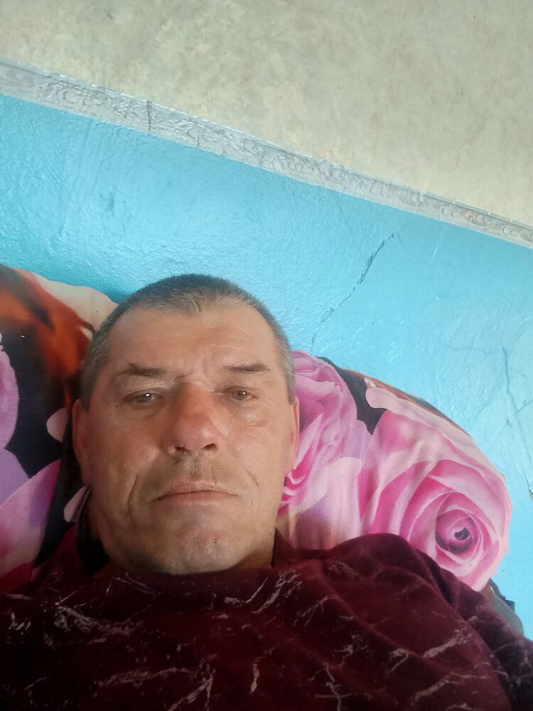  44568811  , 52 ,    